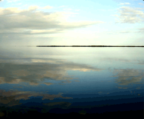 Florida Keys Fishing